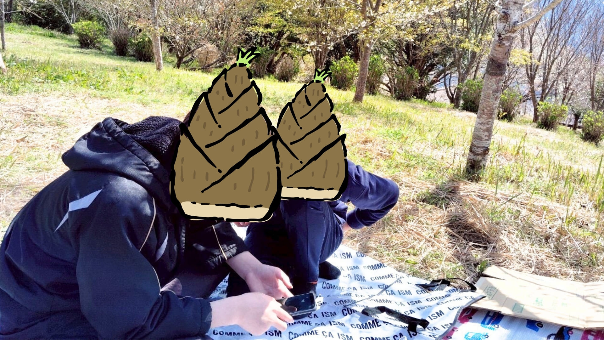 写真